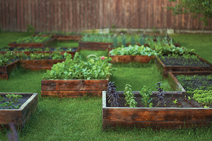 Top Gardening Projects for 2024