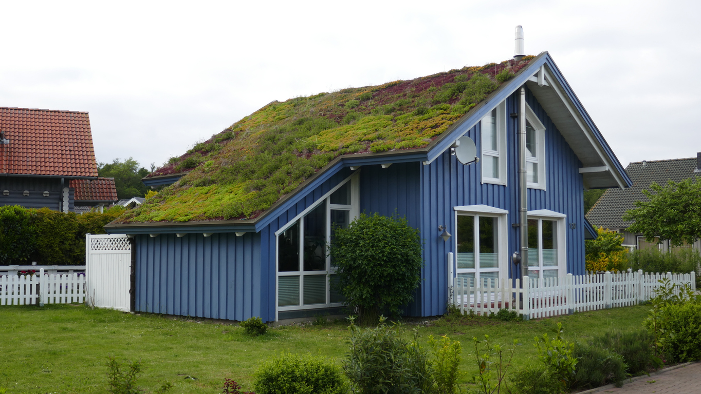 What You Need to Know About Adding a Green Roof to Your Landscape Enhancements
