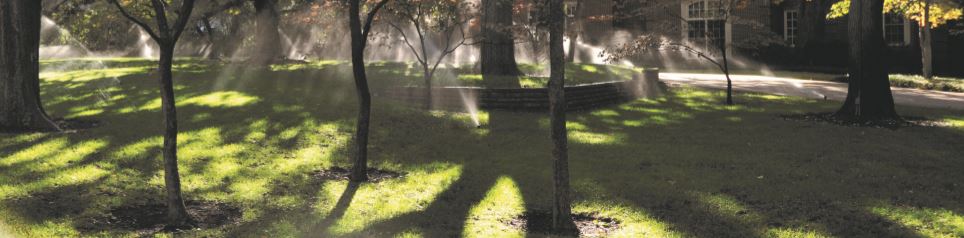 Sprinkler System with Lawn
