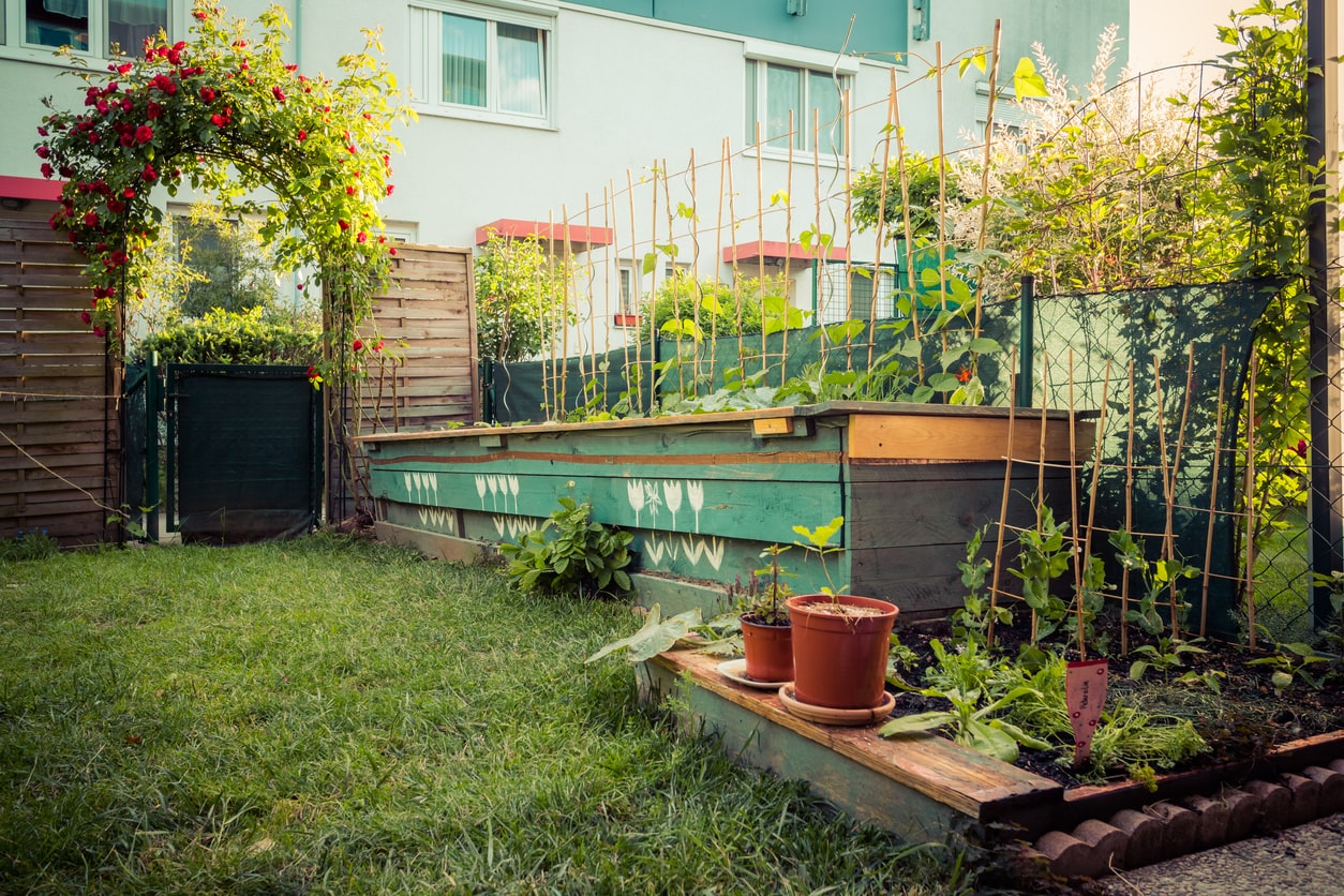 How to Start an Urban Garden: 15 Small Gardening Ideas